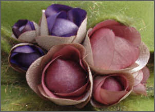 Det aktuelle billede